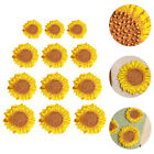  12 Pcs Gestickter Sonnenfleck Abzeichen-Patch Geschmückt Die Blumen Aufkleber