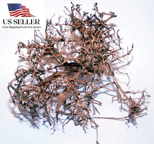 NATURAL DRIFTWOOD #BS008 WYSIWYG - AQUASCAPING, SUPER PRICE!!! BONSAI TREE DECOR - Picture 1 of 9