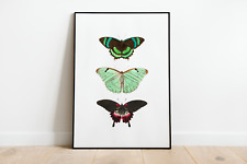 Vintage Butterflies Wall Art Print Poster | Colourful Home Decor Nature Giclee