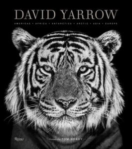 David Yarrow Photography by Tom Brady NEW Hardback - Picture 1 of 1