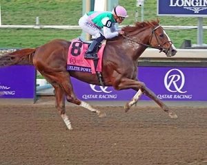 COLOR ELITE POWER Breeders Cup Sprint Winner #4 Finish - Picture 1 of 1