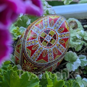 Ganso Pysanka ucraniano real Pysanky Best de Halyna, huevo de Pascua. - Imagen 1 de 12
