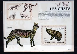 COMORO ISLANDS #1086 2009 CATS MINT VF NH O.G S/S - Picture 1 of 1