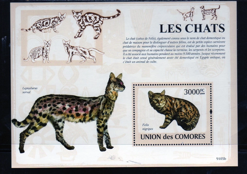 COMORO ISLANDS #1086 2009 CATS MINT VF NH O.G S/S - Image 1 of 1