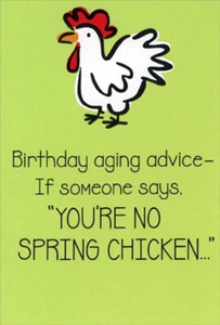 Recycled Paper Greetings You're No Spring Chicken Humorous / Funny Birthday Card - Picture 1 of 2