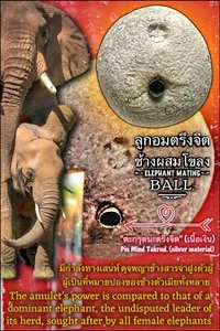 Elephant Mating Ball byLP Chumsai – Ultimate Charm, Attraction & Wealth Booster - Picture 1 of 11