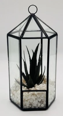 Terrario suculento artificial vidrio transparente y metal negro decoración del hogar 4x4x8 Foto 1 de 4
