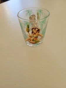 Hawaiian Tropical Pin Up Hula Girl Pineapple Shot Glass Hawaii Souvenir Tiki Bar - Picture 1 of 1