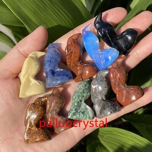10 piezas Venta al por mayor Natural Mixto Cuervo Cuarzo Cristal Calavera Estatuillas Curación 1.3" - Imagen 1 de 12