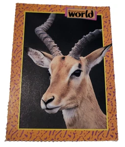 1993 National Geographic World Trading Card Impala (H6 - Picture 1 of 2