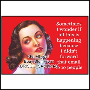 Kühlschrankspaß Kühlschrankmagnet "WEIL ICH DIESE EMAIL NICHT WEITERGELEITET HABE" Retro lustig - Bild 1 von 11