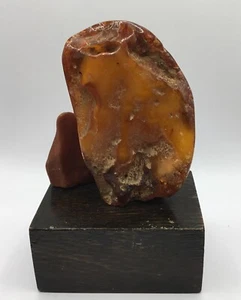 RARE Vintage LARGE Mounted 3.5” AMBER Rocks Plus Extra 251 Grams w/Wood Stand - Picture 1 of 12