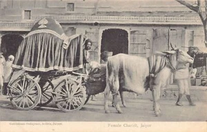 Indien - JAIPUR - Weiblicher Streitwagen - Bild 1 von 2