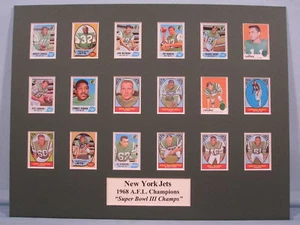New York Jets - 1968 AFL y Super Bowl III Champs - Imagen 1 de 1