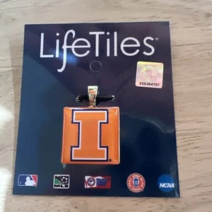 Illinois Fighting Illini Pendant Orange Blue Wooden Necklace Charm LifeTiles NEW - Picture 1 of 7