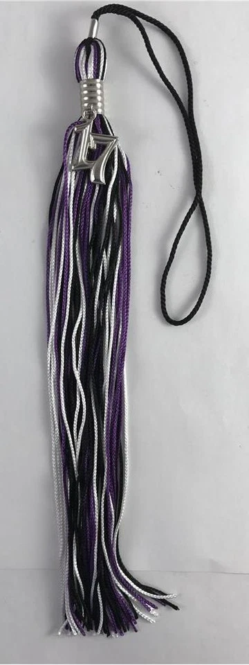 NUEVO Negro Púrpura y Blanco Clase de 2017 Plata Dije Graduación Borla 9" Jostens Foto 1 de 1