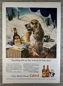 Calvert Reserve Special Blended Whiskey NY Cocker Spaniel 1946 Vintage Print Ad - Picture 1 of 1