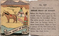 R131 Strip Card, Series of 48 - Western, 1930's, #829 Indian Beast of Burden