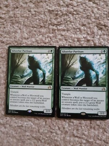 MTG 2 x Silverfur Partisan - Shadows over Innistrad - Bild 1 von 2