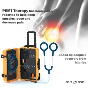 Protable Pemf Magnetic Therapy Pmst Loop Physio Therapy Pain Relief Machine - Picture 1 of 29