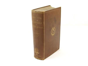 Catalogue of the Mammals of Western Europe by G.S. Miller 1912 HC First Edition - Picture 1 of 10