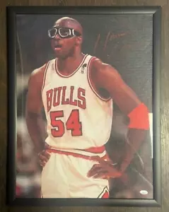 Bulls Horace Grant Framed Canvas JSA COA - Picture 1 of 1