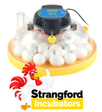 Brinsea Maxi II ECO Incubator (Manual Turning) (Poultry, Duck, Quail, Pheasant)