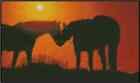 Horses at Sunset Counted Cross Stitch Chart #17-102 