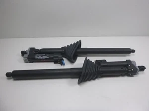 COPPIA PUNTONI ELETTRICI PORTELLONE POSTERIORE BMW SERIE 4 2018 7432376 7432375  - Foto 1 di 8