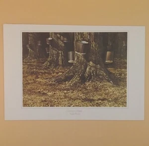 Vintage 1970's Art Print - 'Sugar Bush' By Murray Smith - Picture 1 of 2