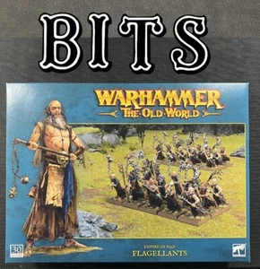 BIT FLAGELLANTS CITIES OF SIGMAR THE EMPIRE WARHAMMER FANTASY VECCHIO MONDO - Foto 1 di 62