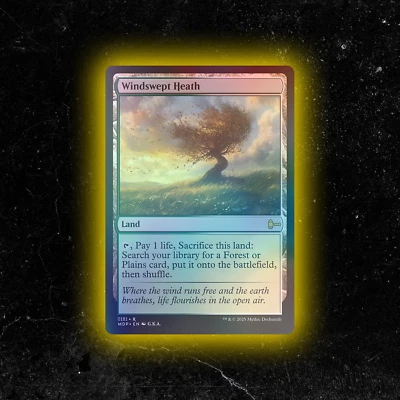 FOIL - Windswept Heath - Custom Magic: The Gathering Card - High-Quality - Image 1 of 4