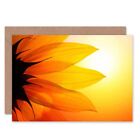 Dt Bright Sunflower Petals Birthday Blank Greeting Card With Envelope
