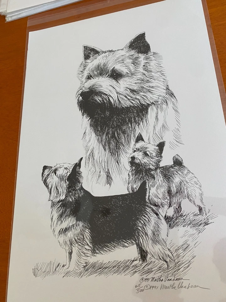 Norwich Terrier Trío Edición Limitada Impresión Por Van Loan 11x17 Firmado Foto 1 de 1
