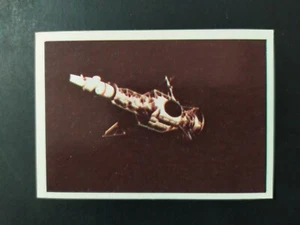 FIGURINA UFO SHADO n. 188 NUOVA CON VELINA - Foto 1 di 2