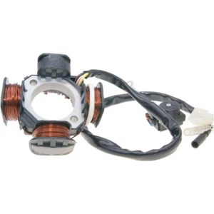 Ankerplatte Spule Lichtmaschine Stator für Pegasus Sky, Corona Sport, R50X, TGB - Bild 1 von 1