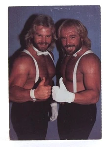 1985 WWF THE FABULOUS ONES Vintage Postcard Very Rare 4" x 5.5" ( 10 x 14 cm. ) - Picture 1 of 2