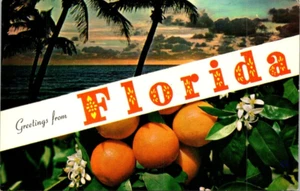 Cartolina Saluti dalla Florida Fiori d'arancio Palm Tress Tramonto - Foto 1 di 2