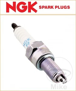 Bujía Fantic XMF 125 Competition 2021-2022 NGK [MR8E-9] - Imagen 1 de 1