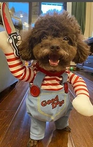 CHUCKY DOG KATZE tödlich gruselig HALLOWEEN KOSTÜM M 6-15lbs Perücke & Filzmesser lustig - Bild 1 von 7