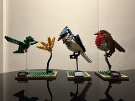 🐦 LEGO Ideas Birds 21301 Complete Robin Blue Jay Hummingbird Instructions 🐦 