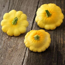 SCALLOP YELLOW BUSH SUMMER SQUASH - 4 G ~55 SEEDS - GARDEN - AKA: PATTY PAN