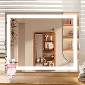 50x40CM Vanity Mirror with Lights USB Makeup Mirror 10X Magnifier Wall/Table Use - Picture 1 of 8