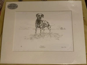 Stephen Mead ""dalmatinischer"" Kunstdruck - limitierte Auflage Lithodruck von 850 Hund - Bild 1 von 3