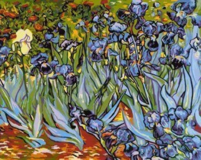 MY PAINT BY NUMBERS USA - DIY Paint by Number Kit Acrylic Painting Home Decor - Irises Van Gogh