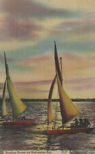 Boating Scene on Galveston Bay H 27 Texas Postcard