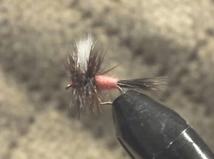 Ausable Wulff Trout Fly - Peach Body- 1 Dozen Dry Flies F721 - Picture 1 of 1