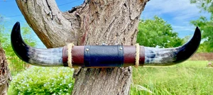 MOUNTED STEER BULL HORNS COW BOY HORN LONGHORNS 15 1/4" WIDE LONG #39 - Picture 1 of 6