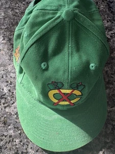 Gorra Chicago Blackhawks Snapback Talla Única Verde Blanco Pro Gear Kick 10 NHL - Imagen 1 de 4