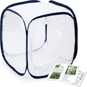Insect and Butterfly Habitat Cage Terrarium Pop-Up 12 X 12 X 12 Inches - Picture 1 of 12